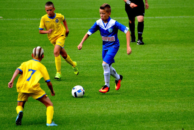 grabka_2014_4