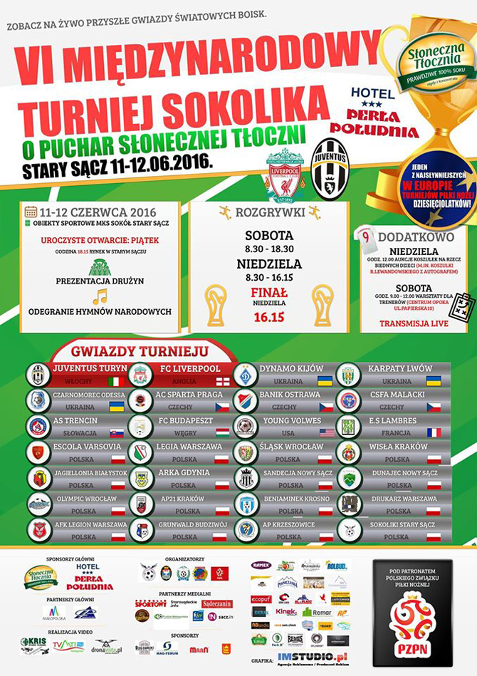 sokolik2016_1
