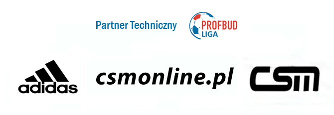 partner_techniczny_csm