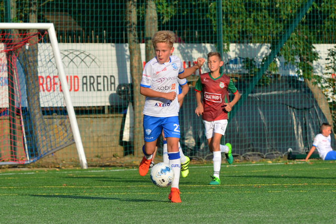 bss_partyzant_2018_2