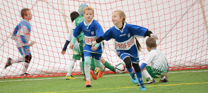 profbud_liga_2008