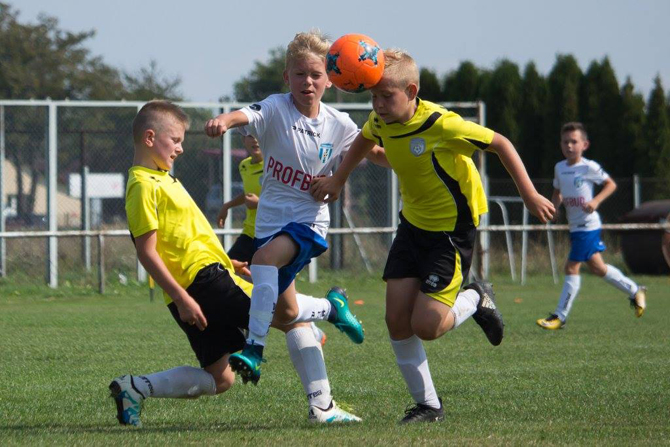 beniaminek_2006_apsanok_2017_1