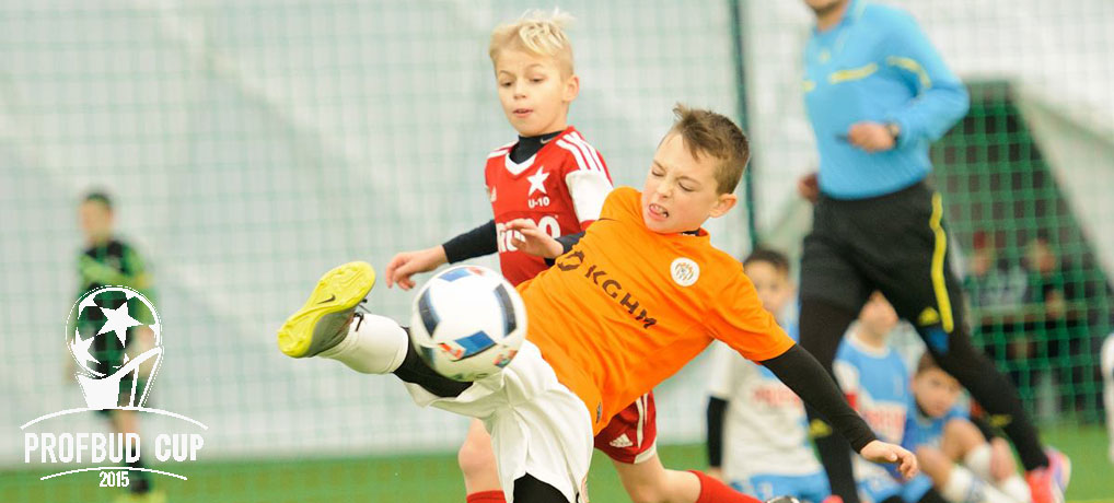 profbud_cup_2015