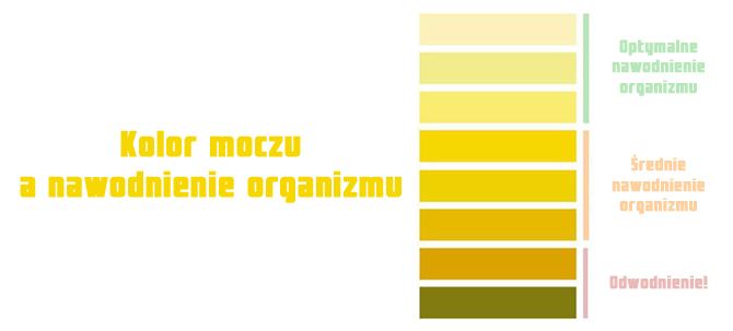 kolor_moczu