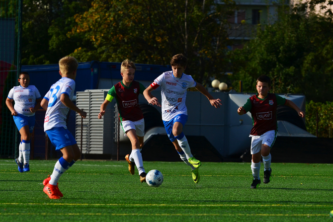 bss_partyzant_2018_1