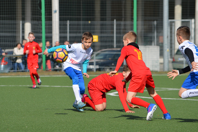 beniaminek_korona_05