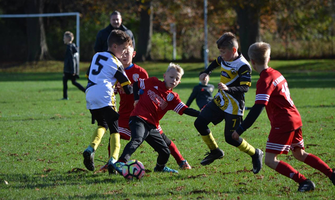 beniaminek_2008_anglia_12