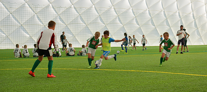 partnerskie2008