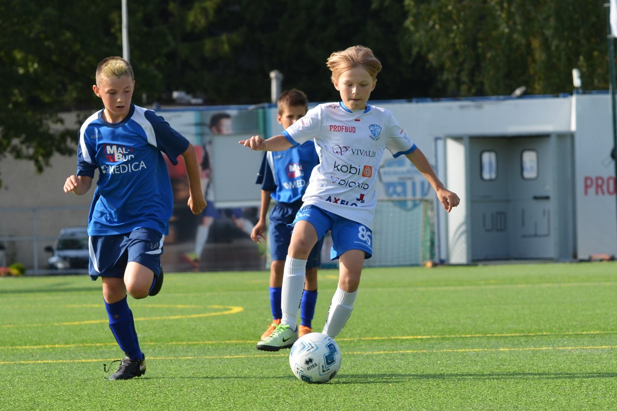 bss_2008_2019_karpaty