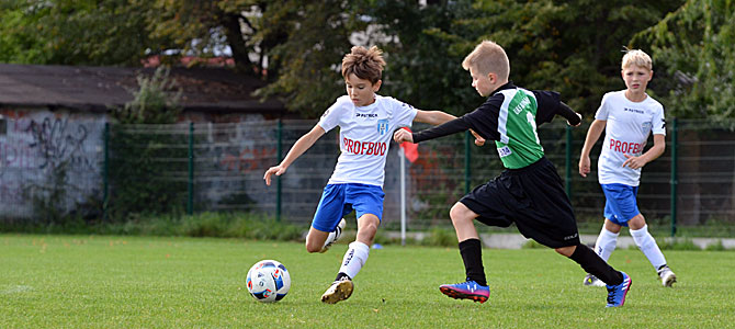 beniaminek_2007_koniczynka_2017_1