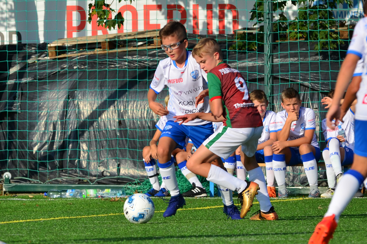 bss_partyzant_2018_5