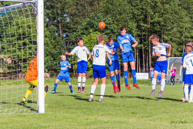 beniaminek2005_stalm_2018_3