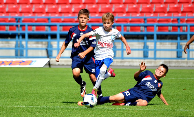 grabka_2014_3