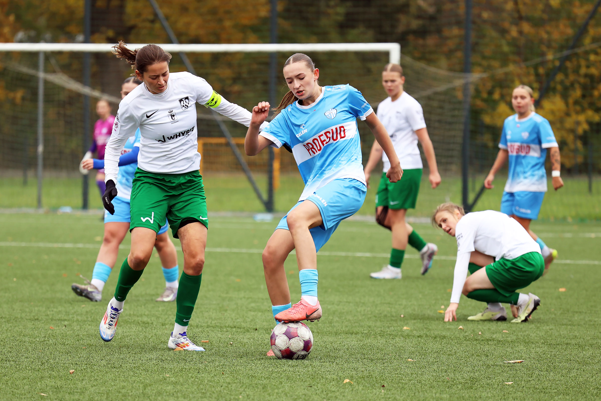 PP: Beniaminek Profbud Krosno - AZS Uniwersytet Warszawski | 19.10.2025