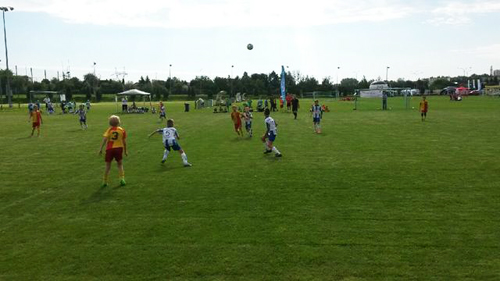 rotarycup_2