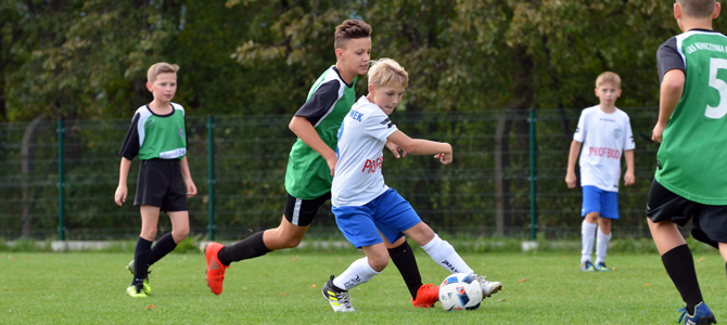 beniaminek_2007_koniczynka_2017_2